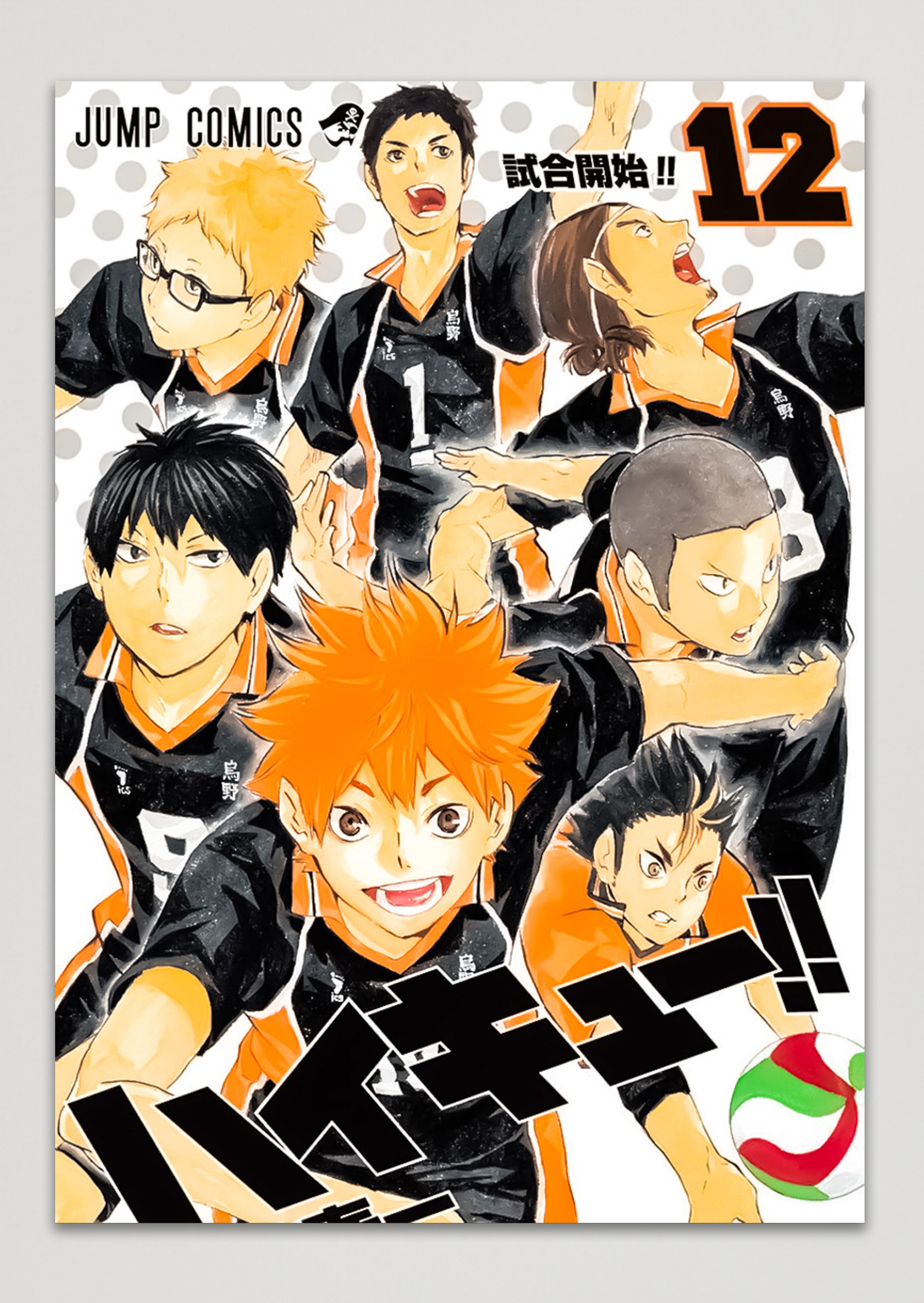 Haikyu!! Karasuno Hinata, Kageyama, Nishinoya, Azumane, Daichi, Tsukishima, Anime Metal Poster