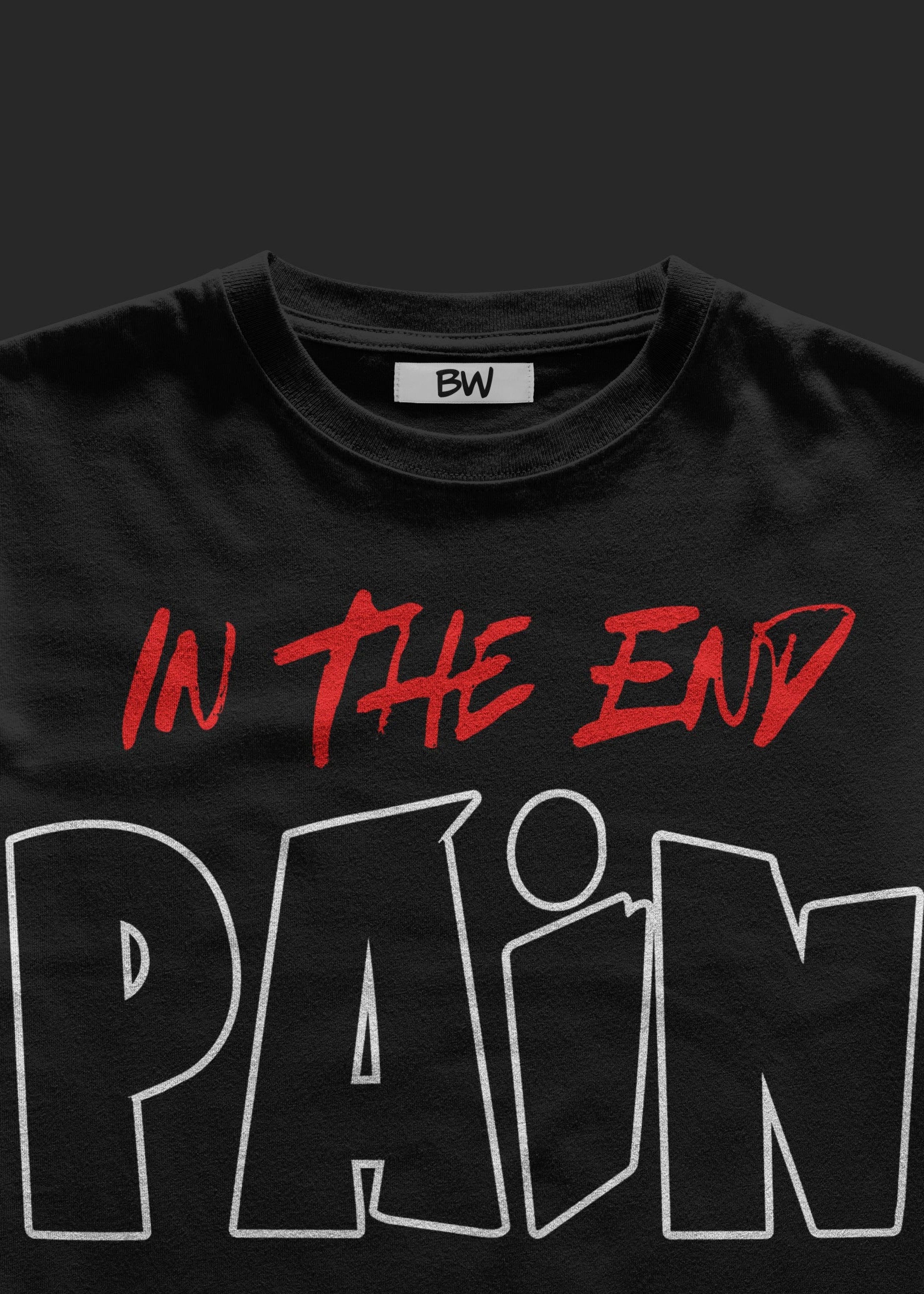 Pain Is Teacher Regular T-shirt